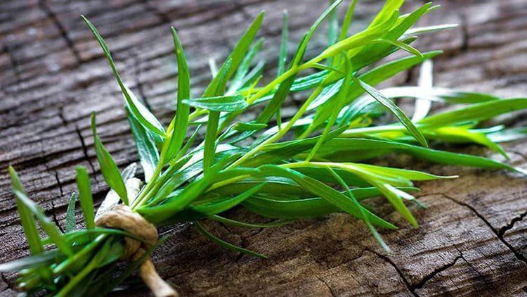 
Vì Tarragon có hương vị nhẹ nên có thể được sử dụng trong nhiều món ăn
