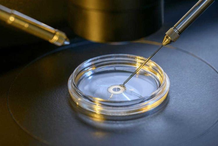 Phương pháp IVF đem lại cơ hội mang thai cho các cặp vợ chồng vô sinh hiếm muộn