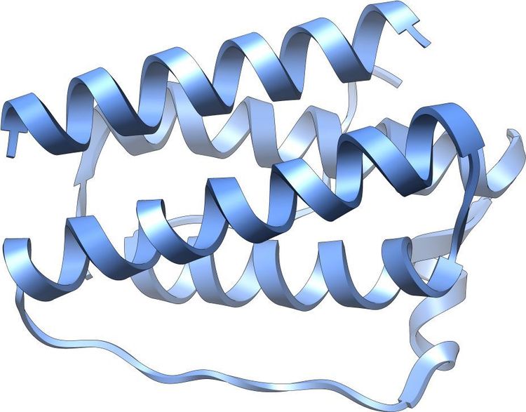 
Leptin là hormone kiểm soát cơn thèm ăn và sự trao đổi chất của cơ thể
