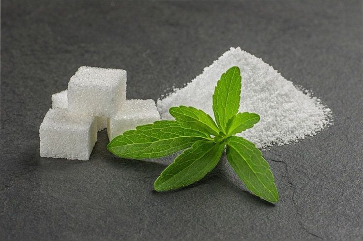 
Đường cỏ ngọt Stevia có thể an toàn cho hội chứng ruột kích thích
