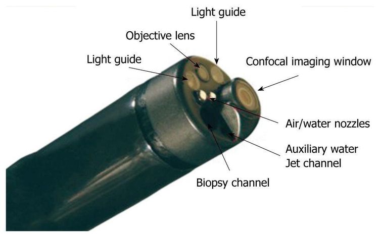 
Cấu trúc của dây nội soi phóng đại bằng Laser đồng tiêu
