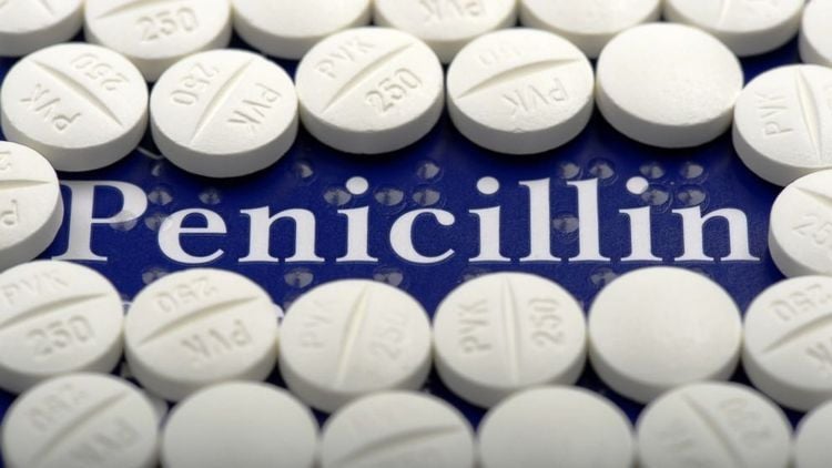 
Penicillin là một nhóm thuốc kháng khuẩn có thể tấn công và tiêu diệt nhiều loại vi khuẩn
