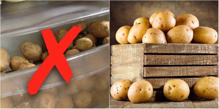 
Không bảo quản khoai tây trong tủ lạnh vì có thể làm tăng acrylamide trong quá trình nấu
