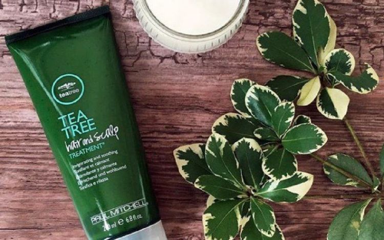 
Paul M Itchell Tea Tree Hair And Scalp Treatment sử dụng dầu cây trà để tẩy tế bào chết và làm sạch da đầu
