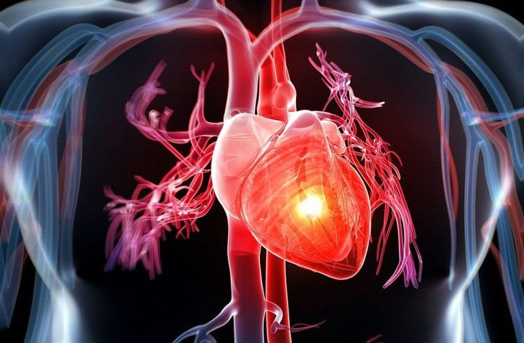 Chế độ ăn kiêng và tập thể dục có thể giúp ngăn ngừa bệnh tim