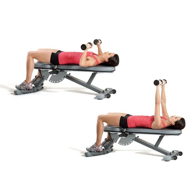 
Bài tập Chest Press áp dụng cho phụ nữ
