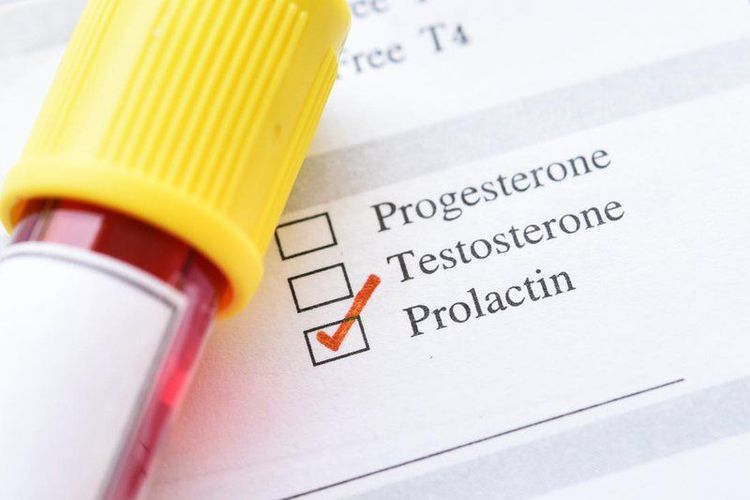 
Hormone Prolactin ở nồng độ cao có thể xem như một phương pháp tránh thai tự nhiên đối với phụ nữ đang trong thời kỳ cho con bú
