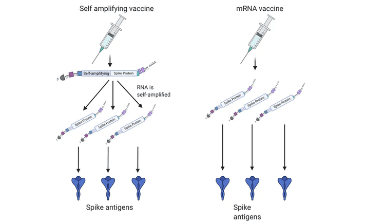 
Vắc-xin mRNA
