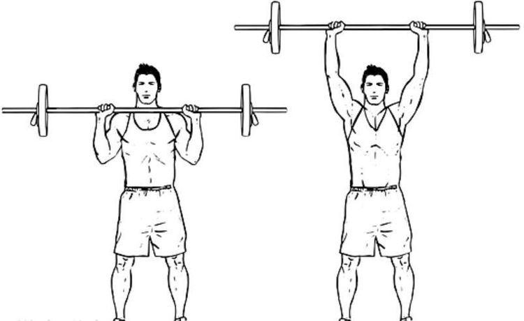 
Bài tập Barbell Overhead Press
