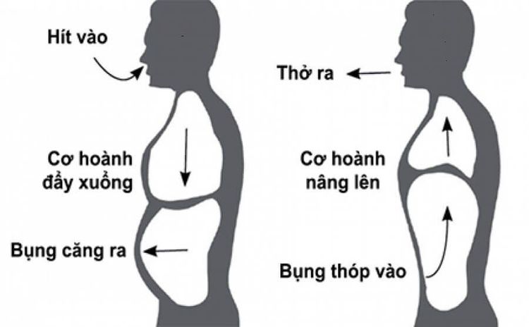 
Nên thở bằng cơ hoành khi cảm thấy được nghỉ ngơi và thư giãn
