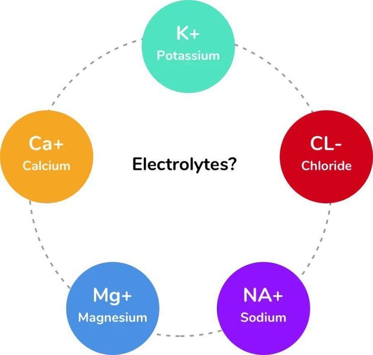 
Chất điện giải chính là các khoáng chất gồm có natri, kali và magie
