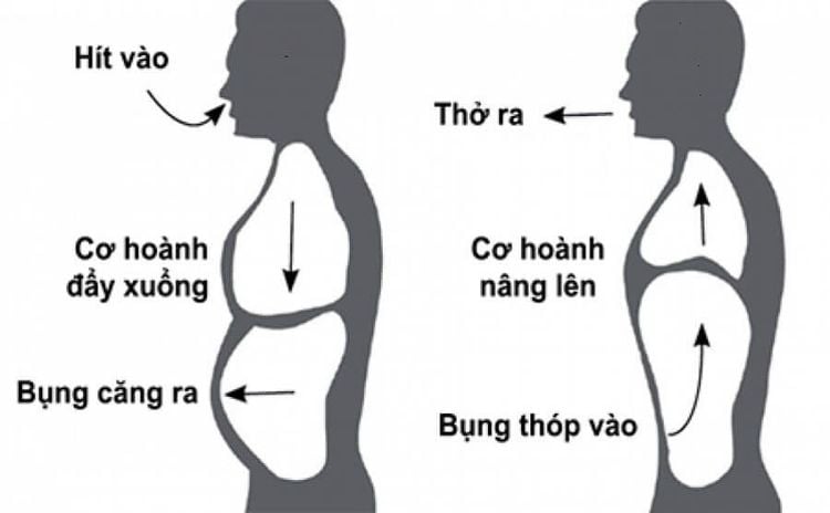 
Thực hành các kỹ thuật thở sâu trong trạng thái tích cực để cơ thể bạn có thể dễ dàng trải nghiệm những lợi ích
