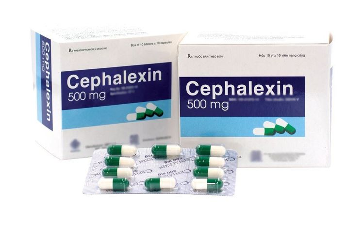 
Cephalexin là một trong các loại kháng sinh điều trị loét bàn chân tiểu đường
