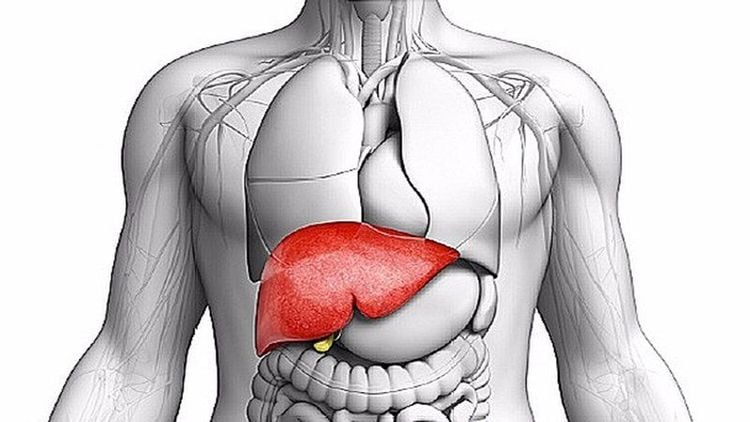 
Xét nghiệm Alpha-1 antitrypsin giúp phát hiện các bệnh lý liên quan tới gan, phổi ở mọi lứa tuổi
