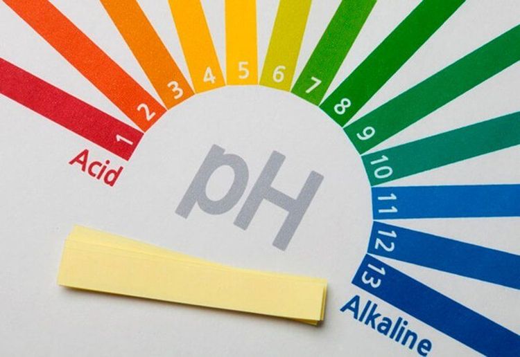 Làn da khi mới sinh có độ pH trung tính và trở nên có tính acid trong vòng vài tuần sau đó