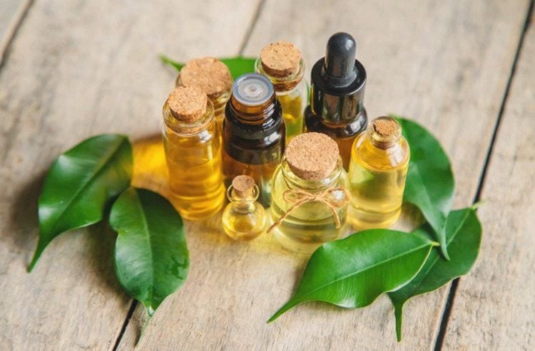 Tea tree oil is an essential oil that helps increase hair growth.