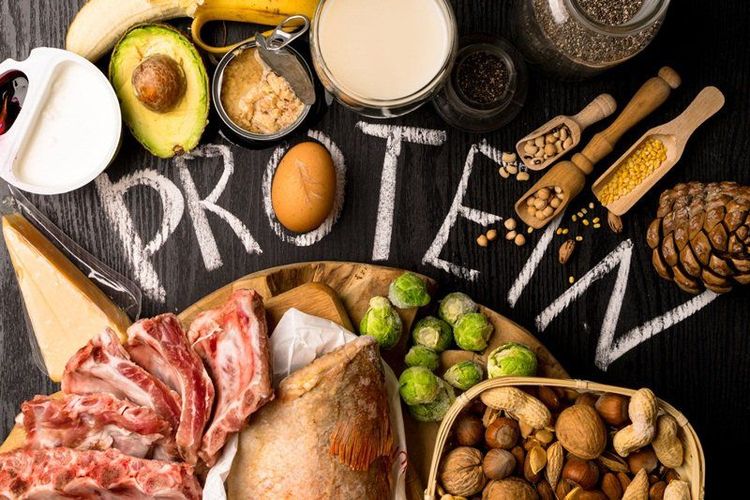 
Protein đóng vai trò quan trọng trong quá trình sản sinh năng lượng của cơ thể
