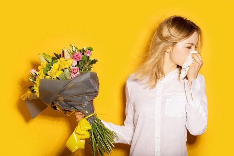 Dị ứng phấn hoa sồi gây ra phản ứng nghiêm trọng ở một số người