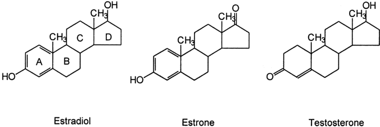 
Nguyên nhân gây nám da ở nam giới do sự mất cần bằng nội tiết tố giữa estrogen và testosterone
