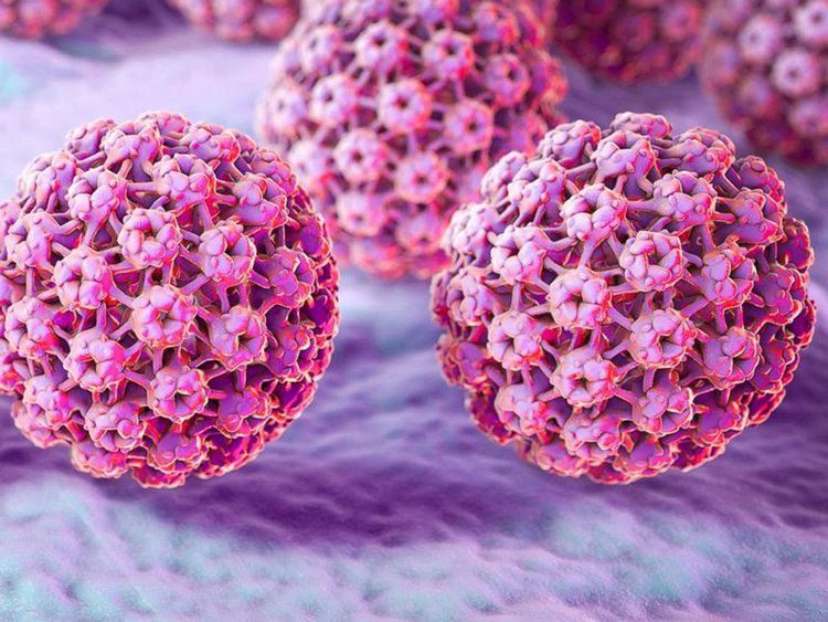 
Tuổi nào nên tiêm phòng hpv là thắc mắc của nhiều người
