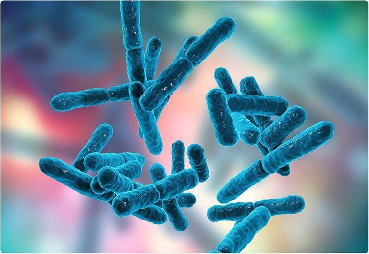Probiotic hoạt động như thế nào được phụ thuộc vào nhiều yếu tố