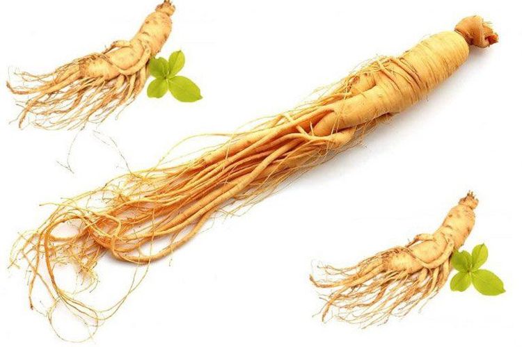 Ginseng is an herb that helps extend sexual duration.
