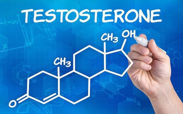 
Testosterone là hormone sinh dục nữ và có nhiều ảnh hưởng đến sức khỏe nam giới
