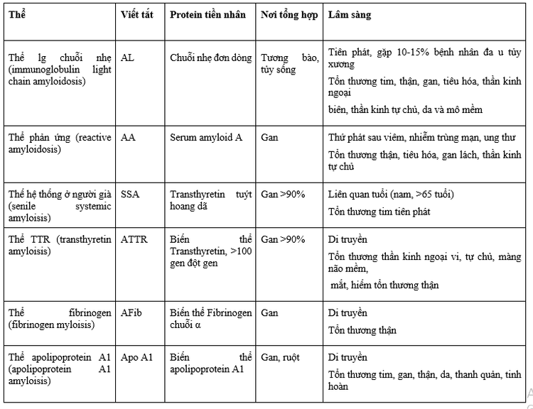 Bệnh amyloidosis - Mức độ phổ biến và phân loại