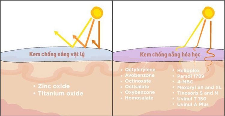 
Kem chống nắng hoá học giúp ngăn ngừa những tác động có hại của ánh nắng mặt trời
