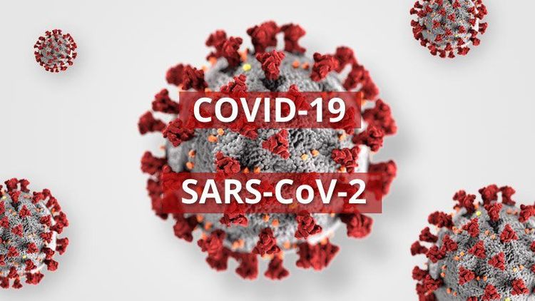 
Coronavirus gây hội chứng hô hấp cấp tính nghiêm trọng
