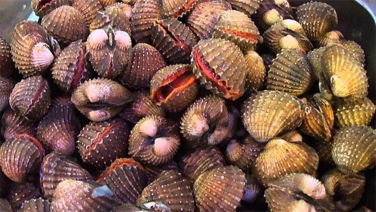 Hàm lượng kẽm trong sò khá cao rất tốt cho cơ thể