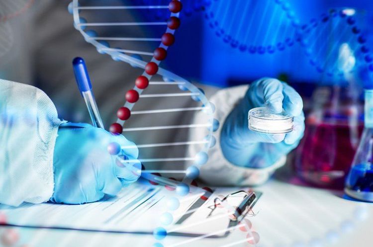 Cơ chế phát sinh đột biến gen là do bắt cặp không đúng trong nhân đôi DNA