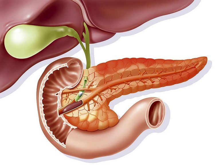 
Viêm tụy có nghĩa là tuyến tụy của bạn bị viêm.
