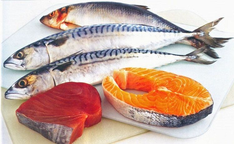 
Các loại cá bép chứa nguồn axit béo omega 3 dồi dào
