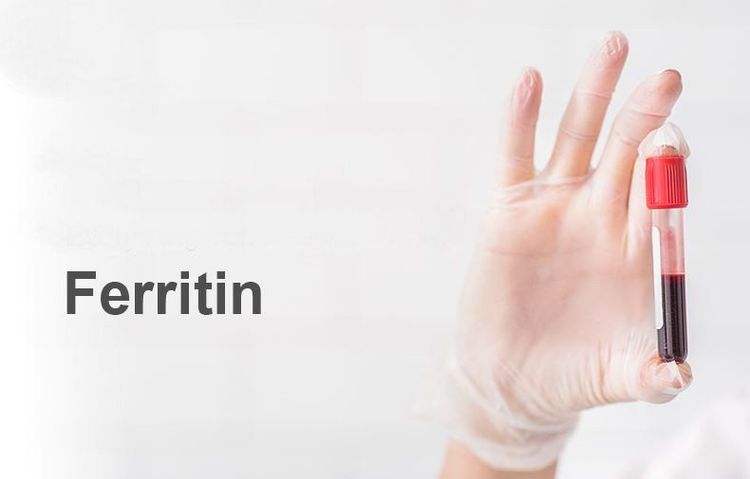 
Ferritin huyết thanh là một trong các xét nghiệm thiếu máu thiếu sắt
