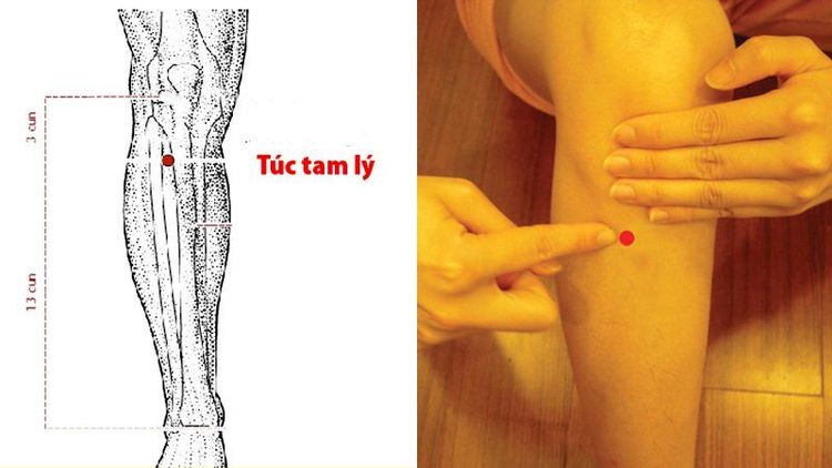 
Hướng dẫn bấm huyệt chữa yếu sinh lý với vị trí huyệt túc tam lý
