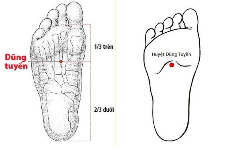 
Hình ảnh vị trí của huyệt dũng tuyền
