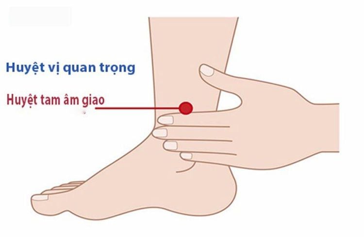 
Trong đông y huyệt tam âm giao có tác dụng tăng cường tiêu hoá và giải độc
