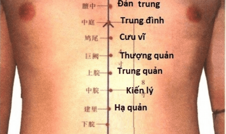 
Vị trí huyệt thượng quản trên cơ thể con người
