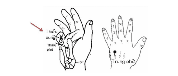 
Hình ảnh mô phỏng vị trí huyệt Thiếu Xung
