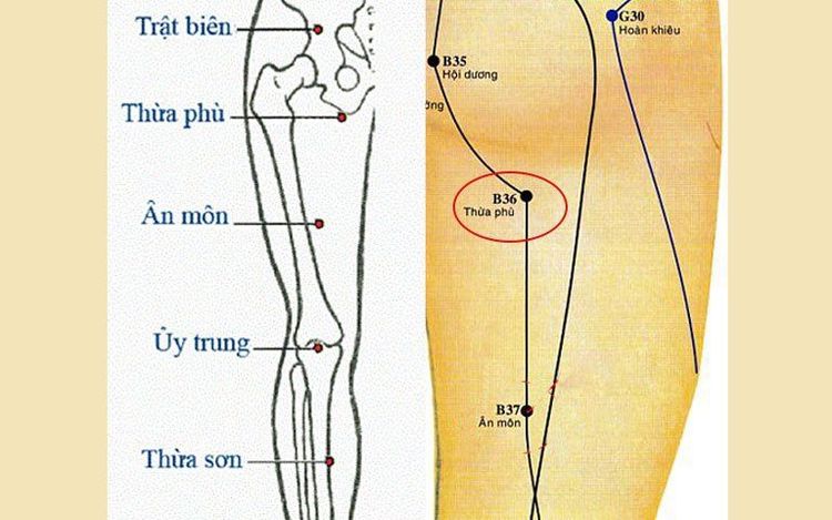 
Huyệt Ân Môn cần được xác định chính xác trước khi tác động lên huyệt
