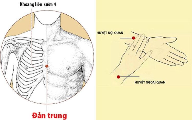 
Huyệt đản trung cần được xác định vị trí chính xác trước khi tác động
