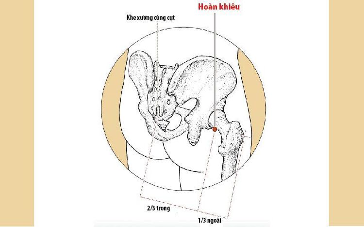 
HÌnh ảnh vị trí của huyệt hoàn khiêu
