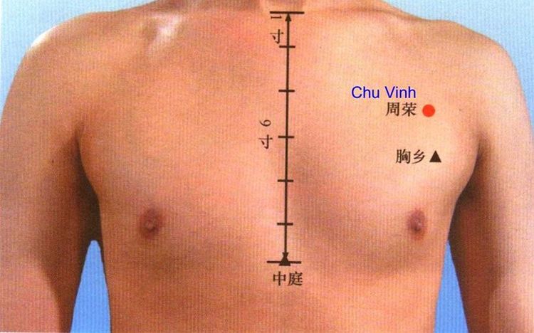 
Huyệt chu vinh được sử dụng trong điều trị đau thần kinh liên sườn
