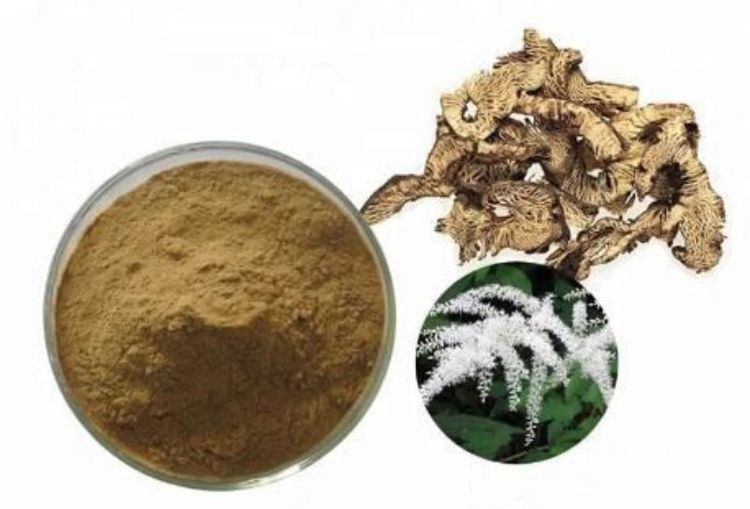 Chế độ ăn ung thư vú cần tránh sử dụng thảo mộc Cohosh đen