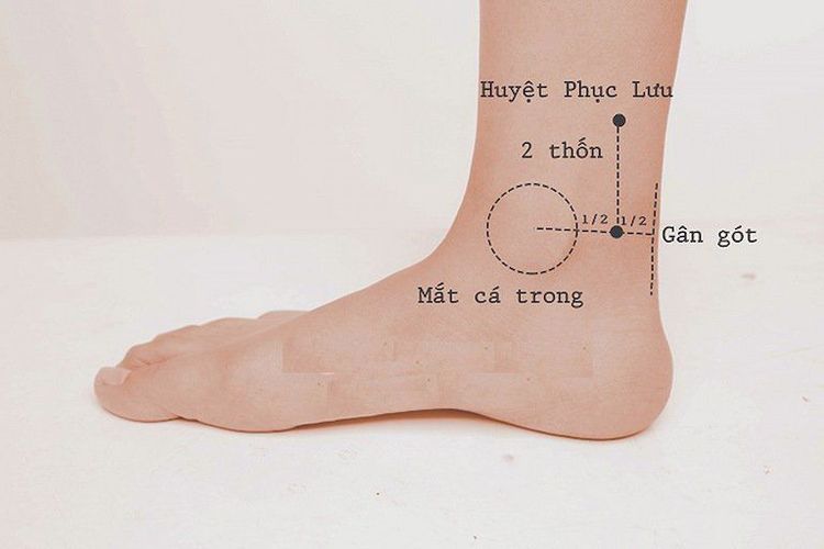 
Huyệt Phục Lưu là một trong các huyệt có thể bấm huyệt chữa giãn tĩnh mạch
