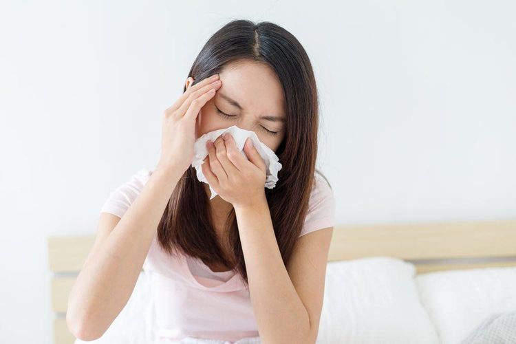 Trong Đông y, chữa viêm xoang được sử dụng dược liệu từ cây cứt lợn