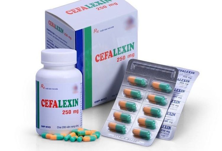 Thuốc Cephalexin 500mg trị bệnh gì? Công dụng và hướng dẫn chi tiết