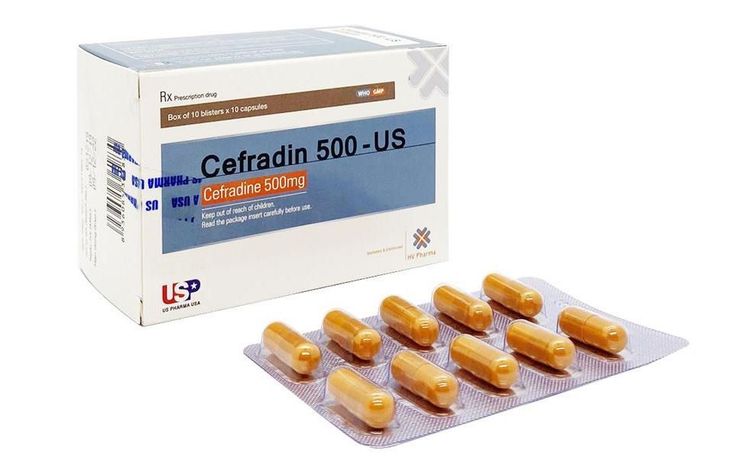 
Thuốc Cefradine cần được sử dụng đúng liều lượng
