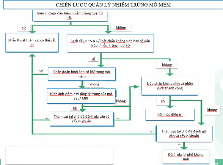 
Chiến lược quản lý nhiễm trùng mô mềm
